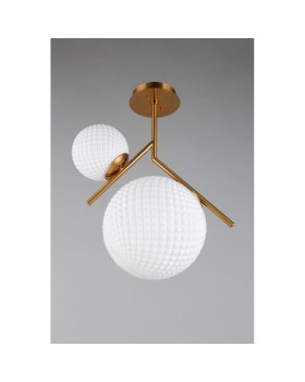 Накладной светильник APLOYT APL.300.07.02-foto4