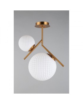 Накладной светильник APLOYT APL.300.07.02-foto5