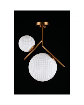 Накладной светильник APLOYT APL.300.07.02-foto7