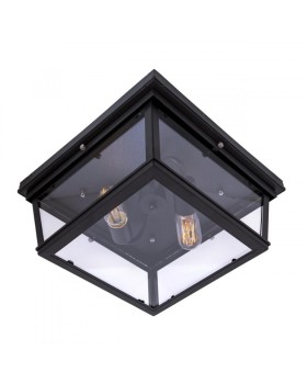 Накладной светильник LOFT IT LOFT3110-2C-foto2