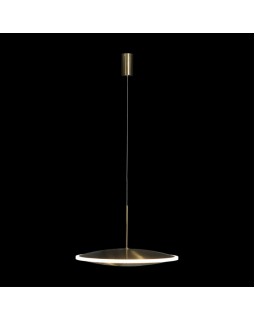 Подвесной светильник LOFT IT 10036/300-foto2