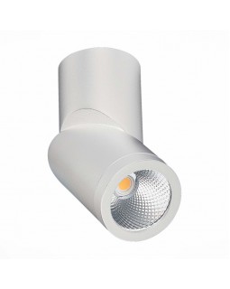 Влагозащищенный светильник ST-Luce ST650.532.10-foto2