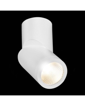 Влагозащищенный светильник ST-Luce ST650.532.10-foto5
