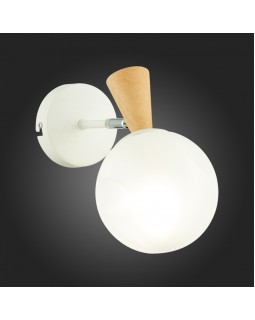 Бра Evoluce SLE220701-01-foto5