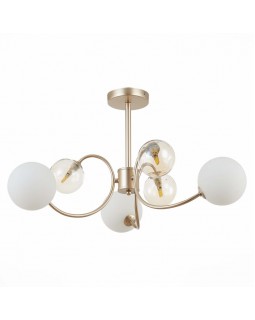 Люстра на штанге Evoluce SLE220922-06-foto2