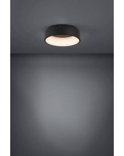 Накладной светильник EGLO 390049-foto2