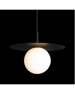 Подвесной светильник LOFT IT 10120/250P Black-foto4