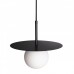 Подвесной светильник LOFT IT 10120/250P Black