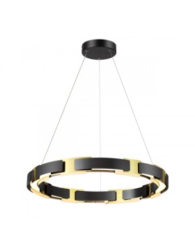 Подвесная люстра Odeon Light 4991/55L-foto2
