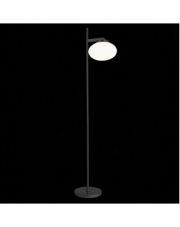 Торшер ST-Luce SL1503.405.01-foto2