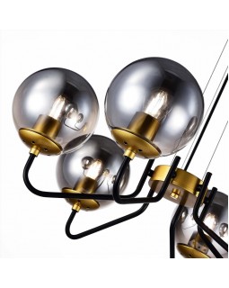 Подвесная люстра Evoluce SLE1097-303-06-foto3