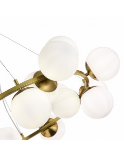 Подвесная люстра Evoluce SLE1191-203-20-foto4