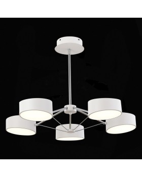 Люстра на штанге Evoluce SLE6005-502-05-foto6