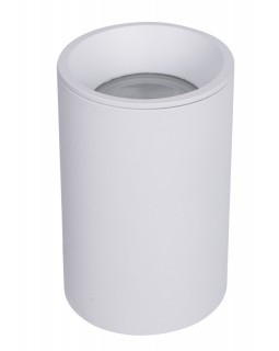 Влагозащищенный светильник Maytoni Technical C029CL-01-S-W-foto2