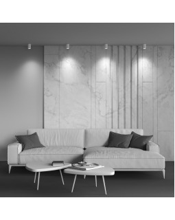 Влагозащищенный светильник Maytoni Technical C029CL-01-S-W-foto3