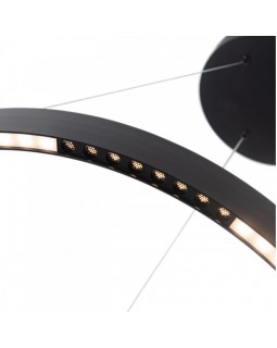 Подвесной светильник ARTE Lamp A2189LM-1BK-foto4