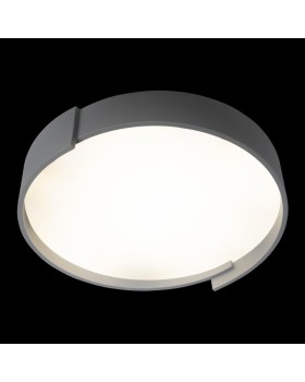 Накладной светильник LOFT IT 10200 Grey-foto4