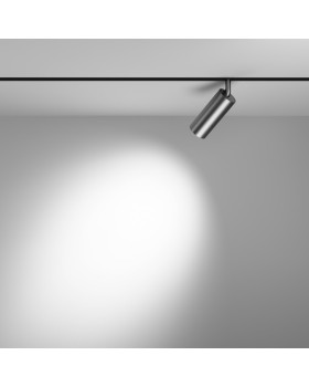 Светильник на шине Maytoni Technical TR032-2-12W3K-S-MG-foto4