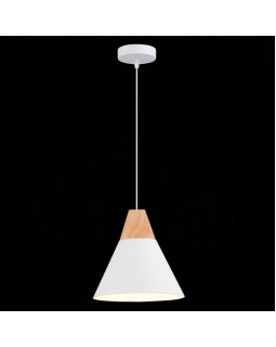Подвесной светильник Evoluce SLE125103-01-foto4