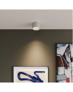Накладной светильник Elektrostandard Banti 13W серебро (25123/LED)-foto4