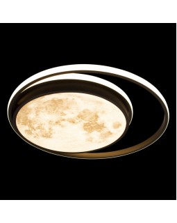 Накладной светильник LOFT IT 10217-foto4