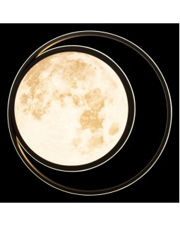 Накладной светильник LOFT IT 10217-foto6