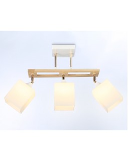 Накладной светильник Ambrella Light TR9505-foto2