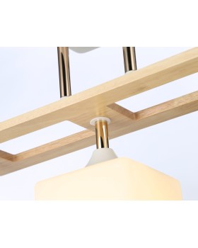 Накладной светильник Ambrella Light TR9505-foto4