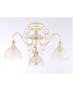 Накладной светильник Ambrella Light TR3055-foto4