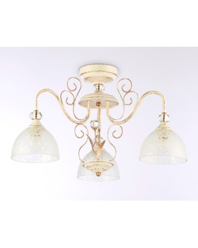 Накладной светильник Ambrella Light TR3055-foto4