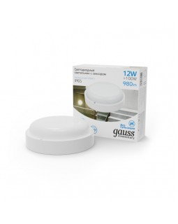 Пылевлагозащищенный светильник Gauss 126411312-S-foto3