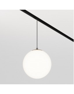 Светильник на шине Maytoni Technical TR039-4-5WTW-DD-B-foto3