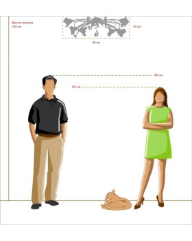 Накладная люстра MW-Light 1340506-foto3