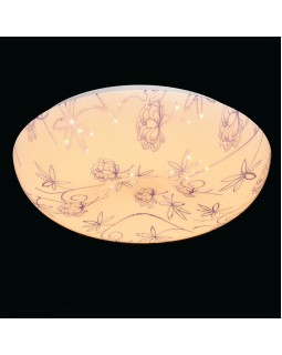 Накладной светильник DeMarkt 325014601-foto5