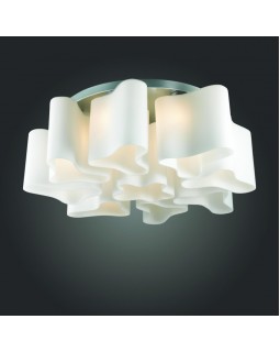 Накладная люстра ST-Luce SL118.502.09-foto2