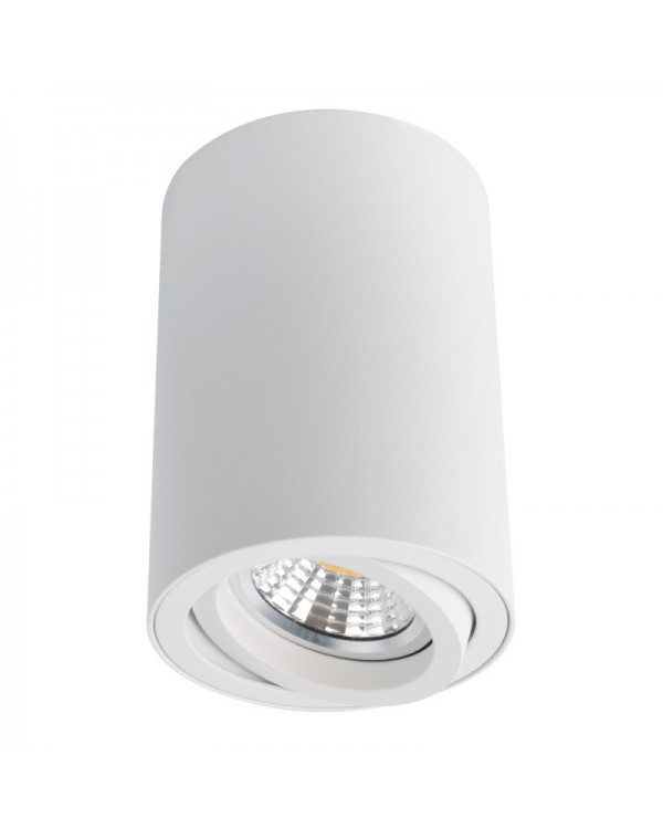 Накладной светильник ARTE Lamp A1560PL-1WH