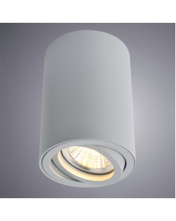 Накладной светильник ARTE Lamp A1560PL-1GY-foto2