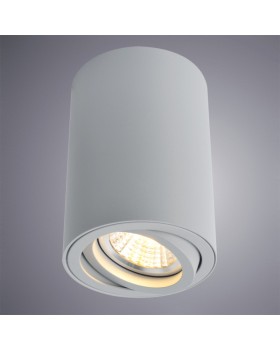 Накладной светильник ARTE Lamp A1560PL-1GY-foto2