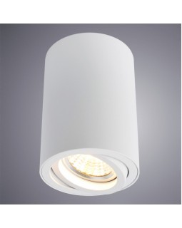 Накладной светильник ARTE Lamp A1560PL-1WH-foto2