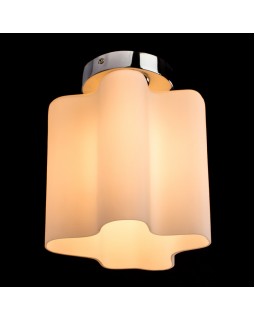 Накладной светильник ARTE Lamp A3479PL-1CC-foto2