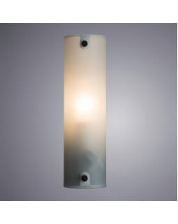 Светильник для картин ARTE Lamp A4101AP-1WH-foto2