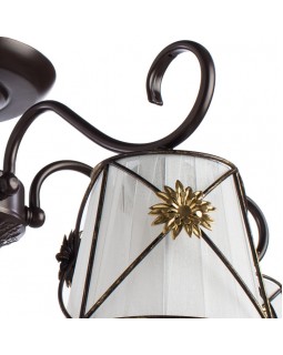 Накладная люстра ARTE Lamp A5495PL-5BR-foto3