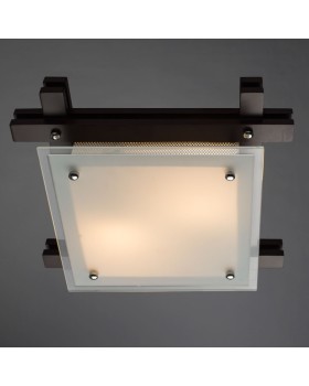 Накладной светильник ARTE Lamp A6462PL-2CK-foto2