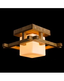 Накладной светильник ARTE Lamp A8252PL-1BR-foto2