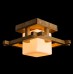 Накладной светильник ARTE Lamp A8252PL-1BR