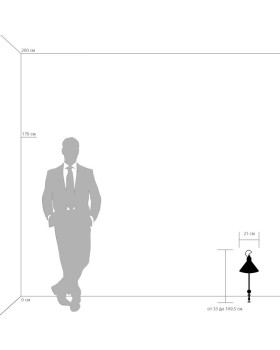 Настольная лампа Lightstar 765926-foto6