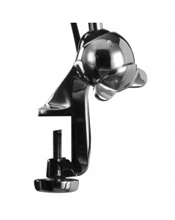 Настольная лампа Lightstar 765924-foto3