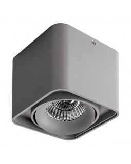 Накладной светильник Lightstar 212519-foto2