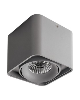 Накладной светильник Lightstar 212519-foto2