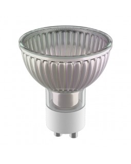 Галогеновая лампа Lightstar 922007-foto2